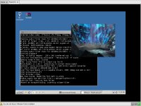 MPlayer on ReactOS